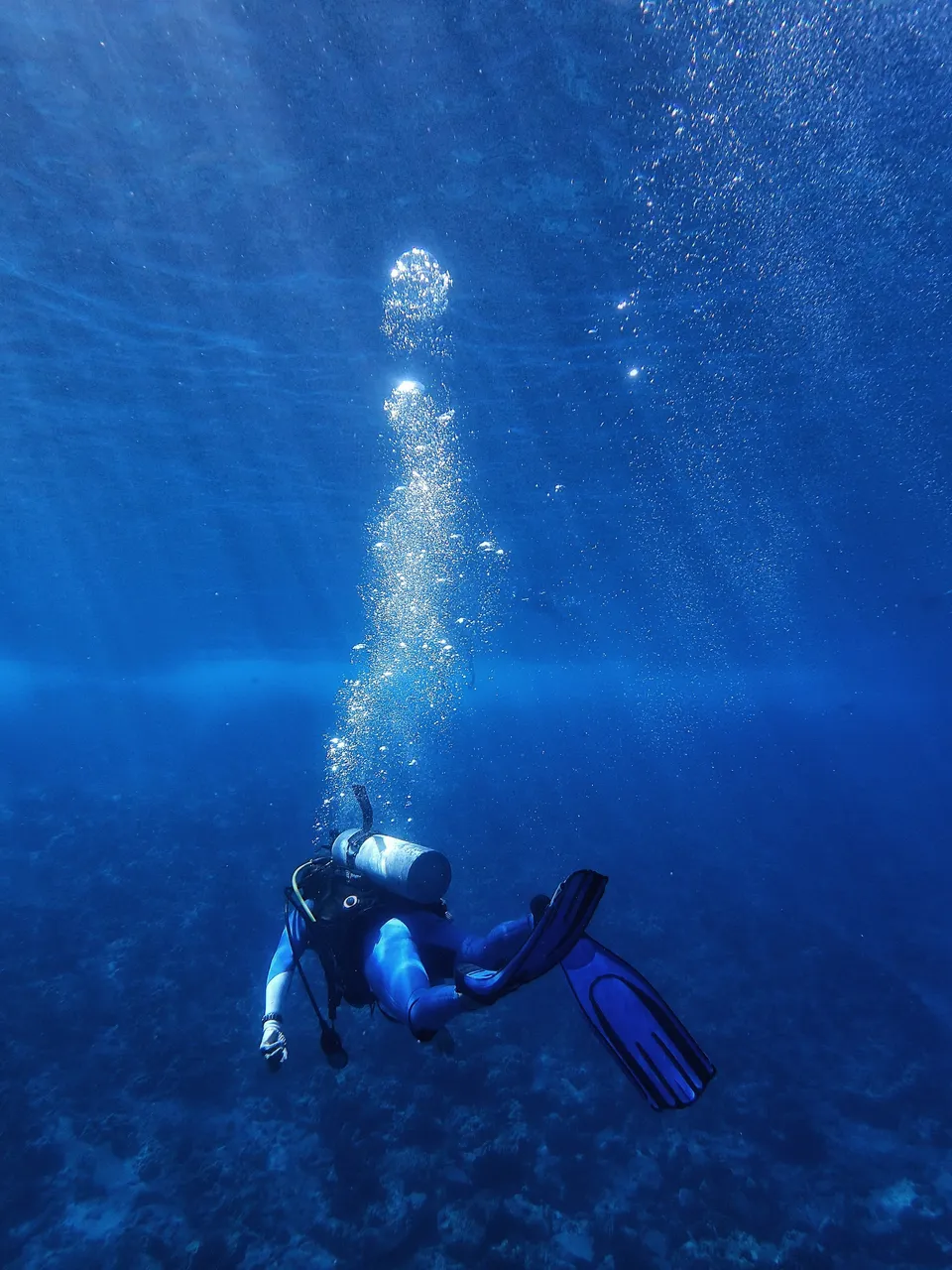 PADI Advanced Open Water 進階開放水域