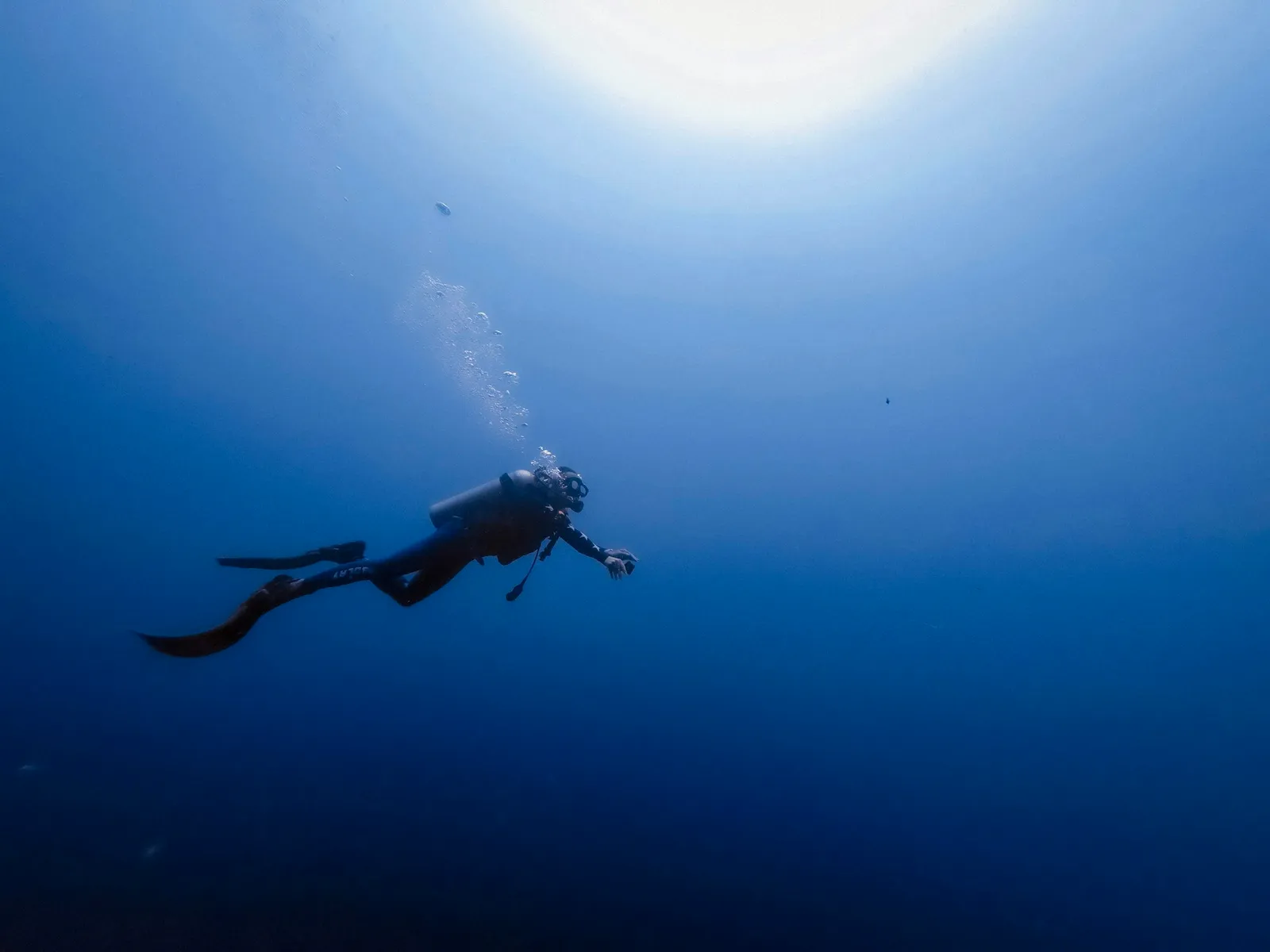 PADI Open Water Diver 開放水域潛水員