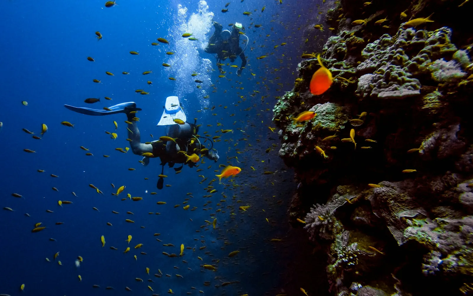 墾丁年末 Fun Dive 3 天 2 夜